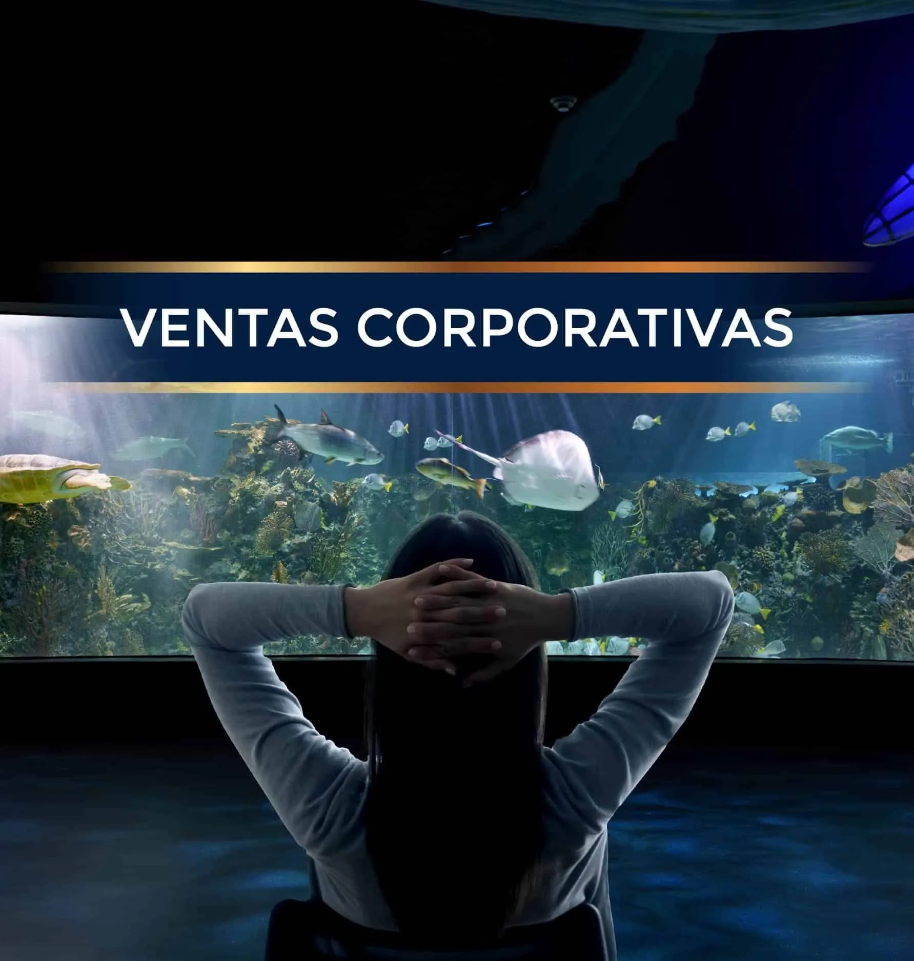 Acuario Inbursa