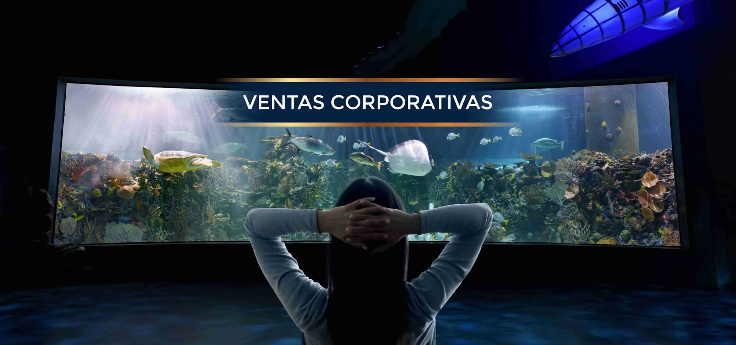 Acuario Inbursa