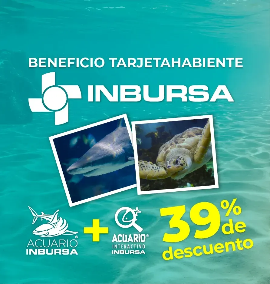 Acuario Inbursa