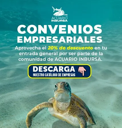 Acuario Inbursa