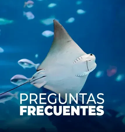 Acuario Inbursa