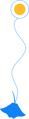 Decoración de fondo