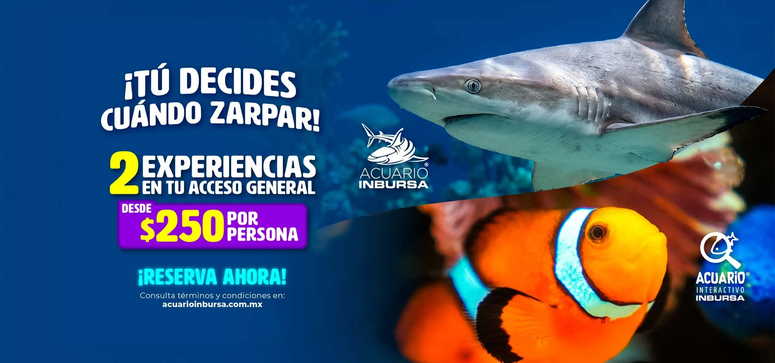Acuario Inbursa