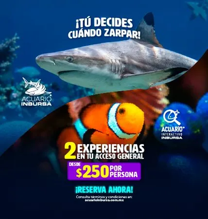 Acuario Inbursa