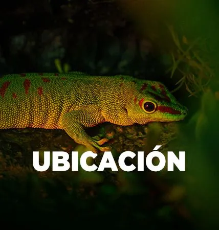 Acuario Inbursa