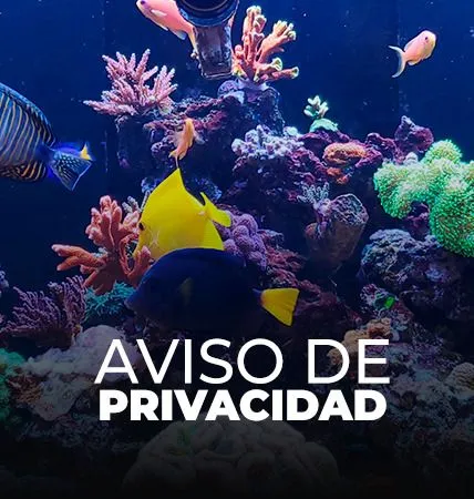 Acuario Inbursa